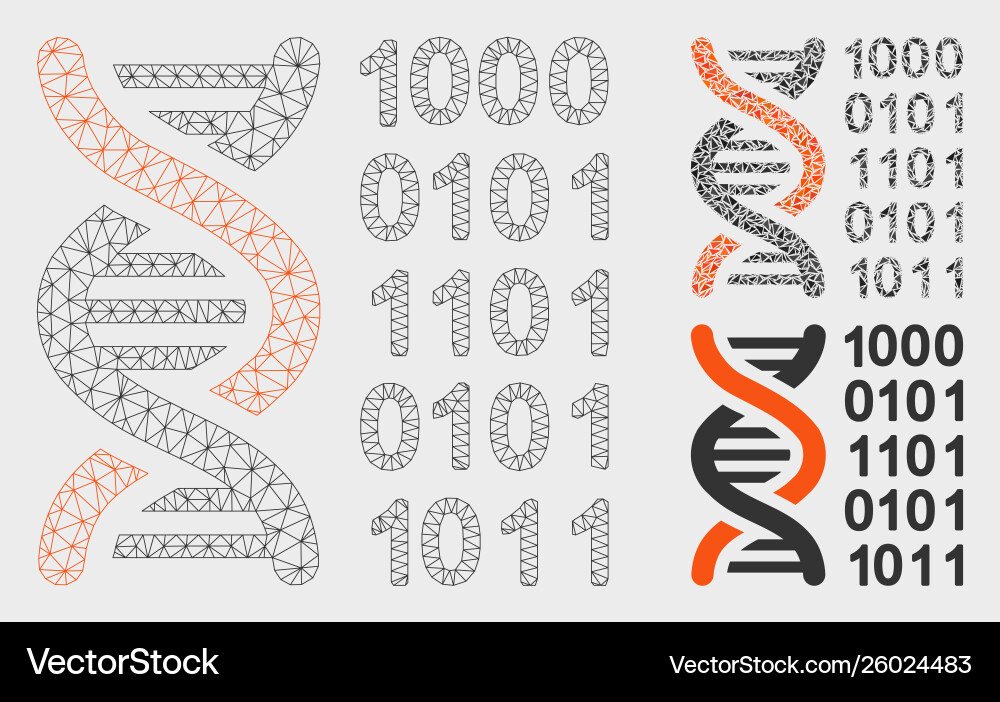 Genetical code mesh network model Genetical code mesh network model vector image
