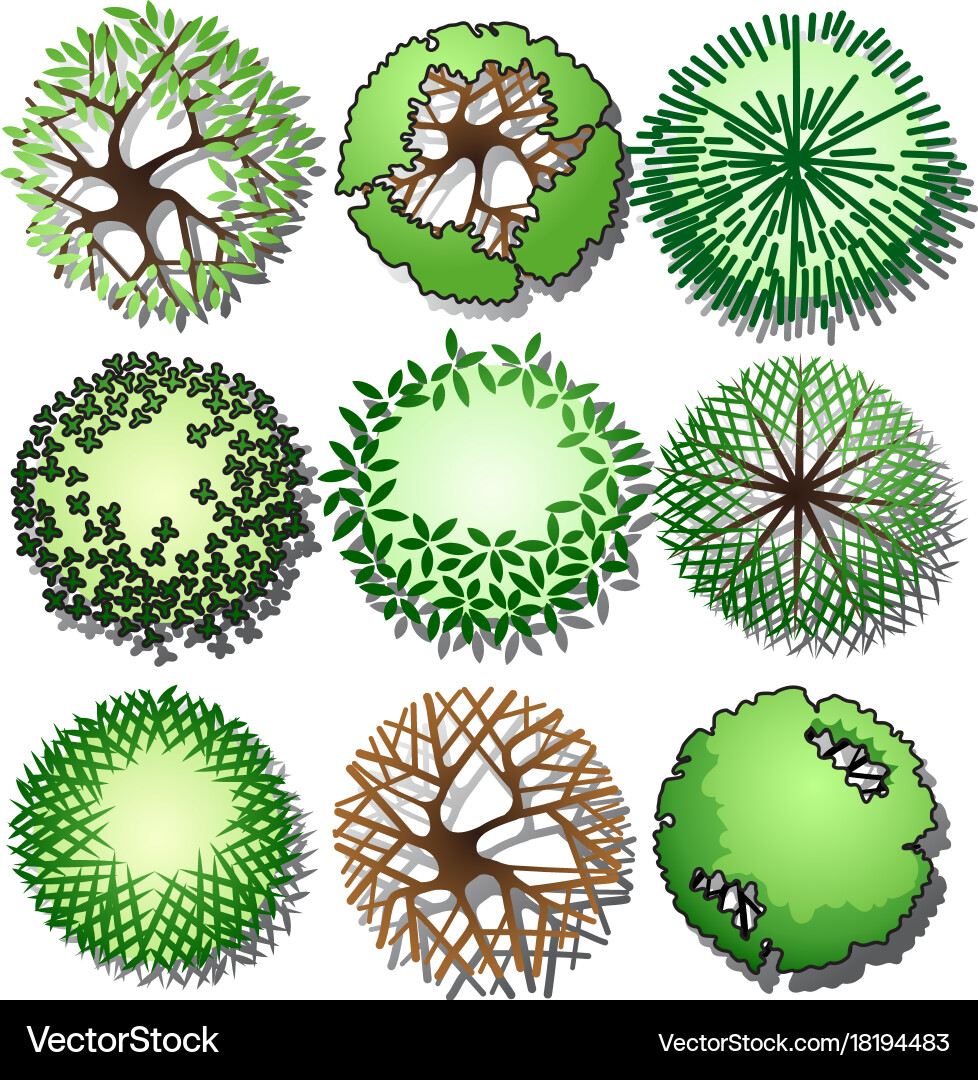 Tree Top Collection Royalty Free Vector Image - VectorStock