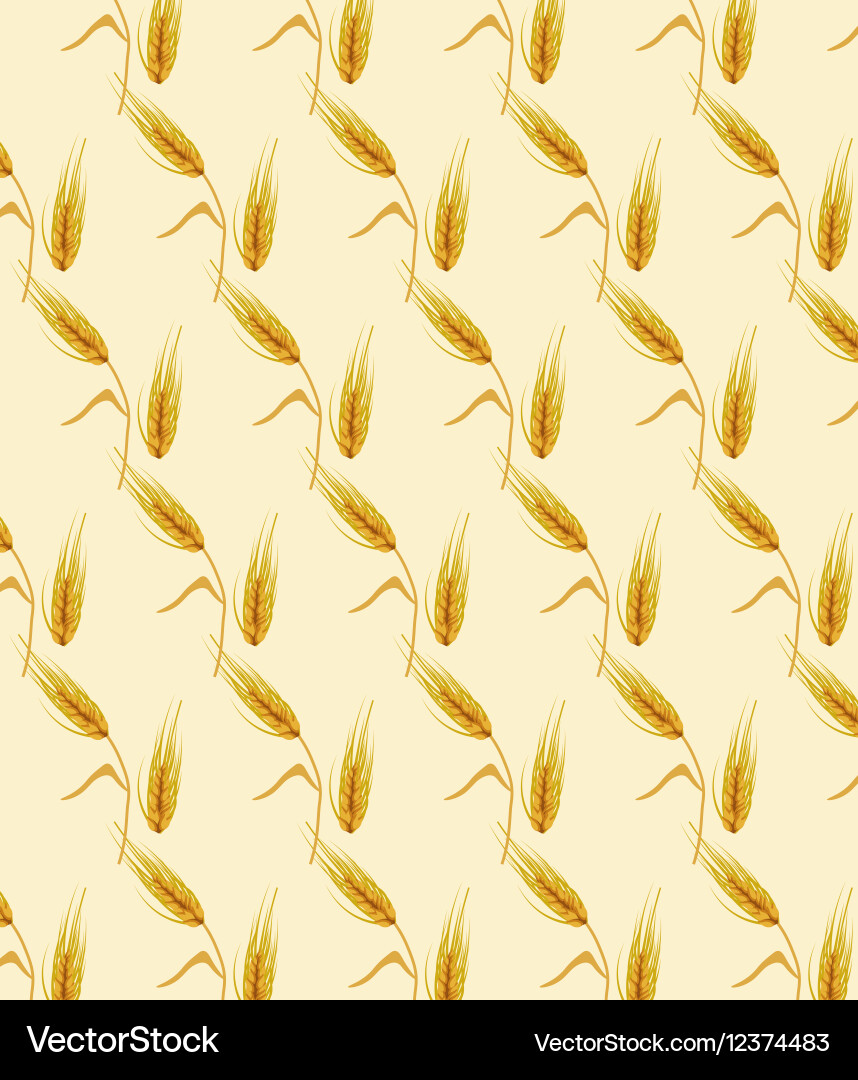 Wheat ears pattern design Vector Image