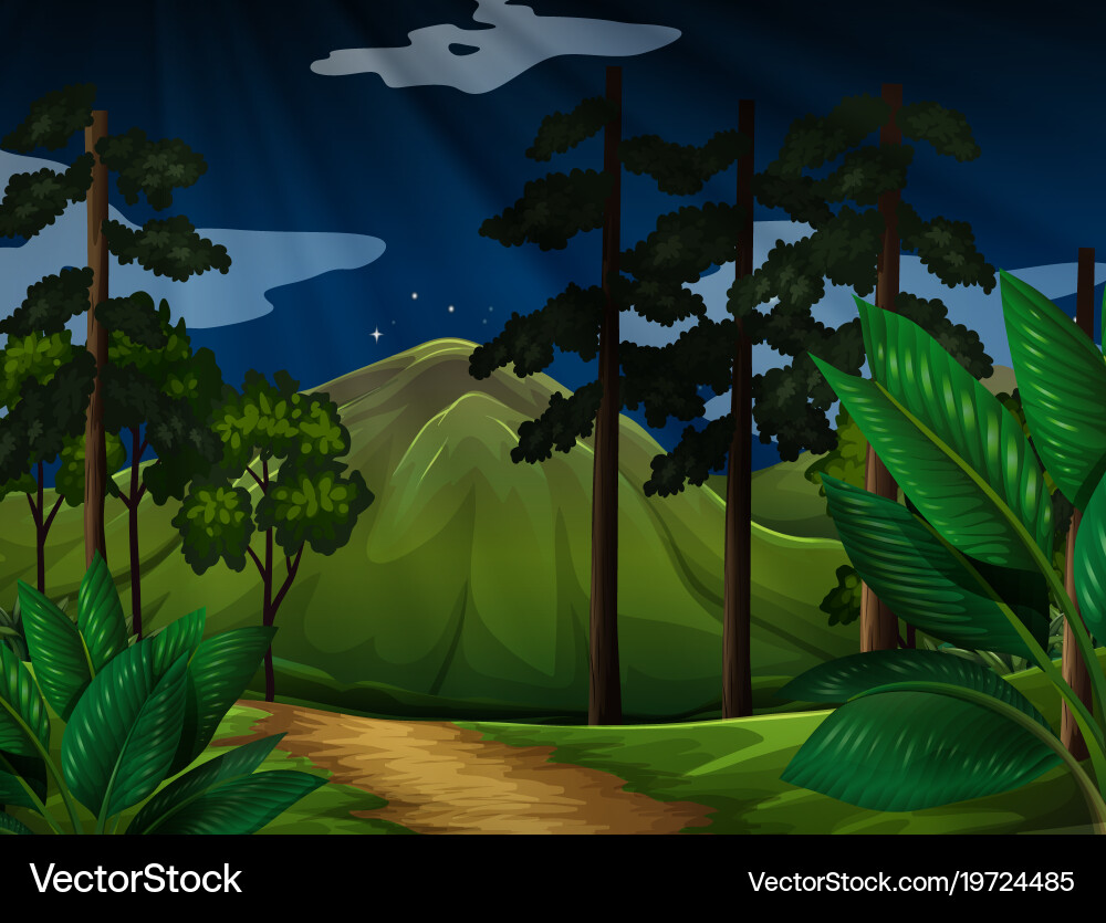 Background scene with trees in the forest Vector Image