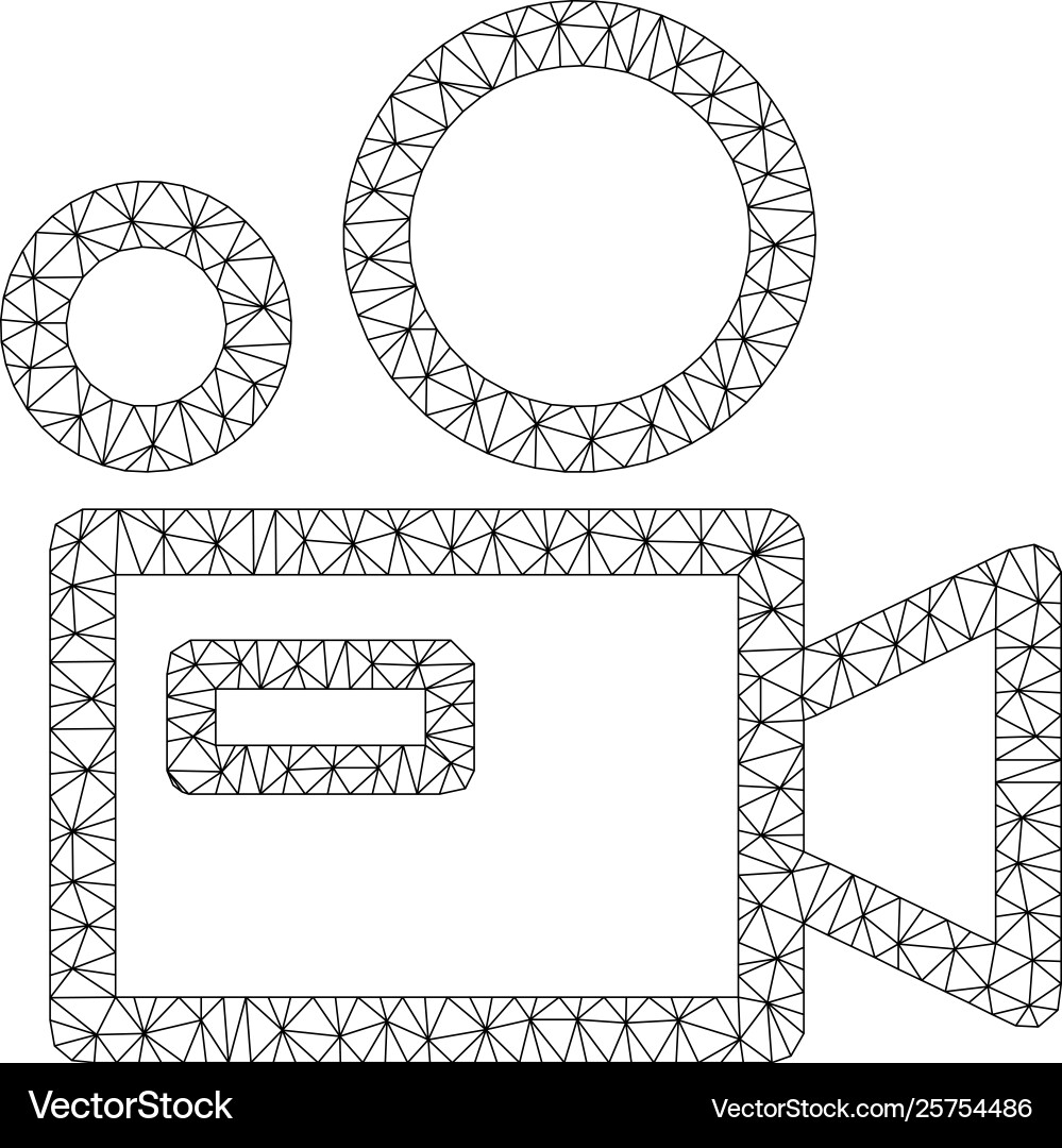 Camera polygonal frame mesh Camera polygonal frame mesh Vector Image