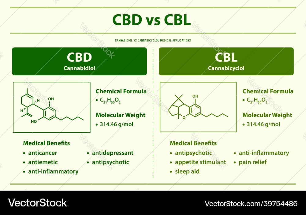 Cbd vs cbl cannabidiol cannabicyclol vector image