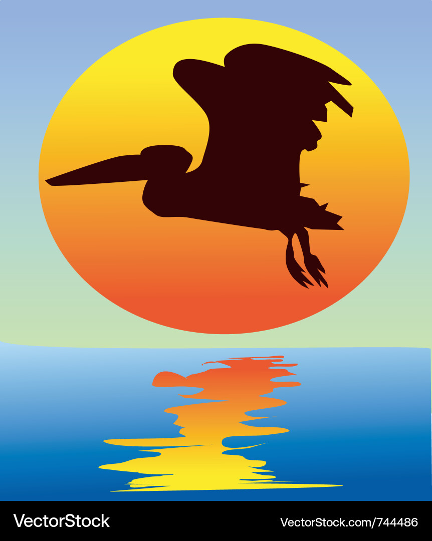 Pelican in Sunset Sky Vector Image