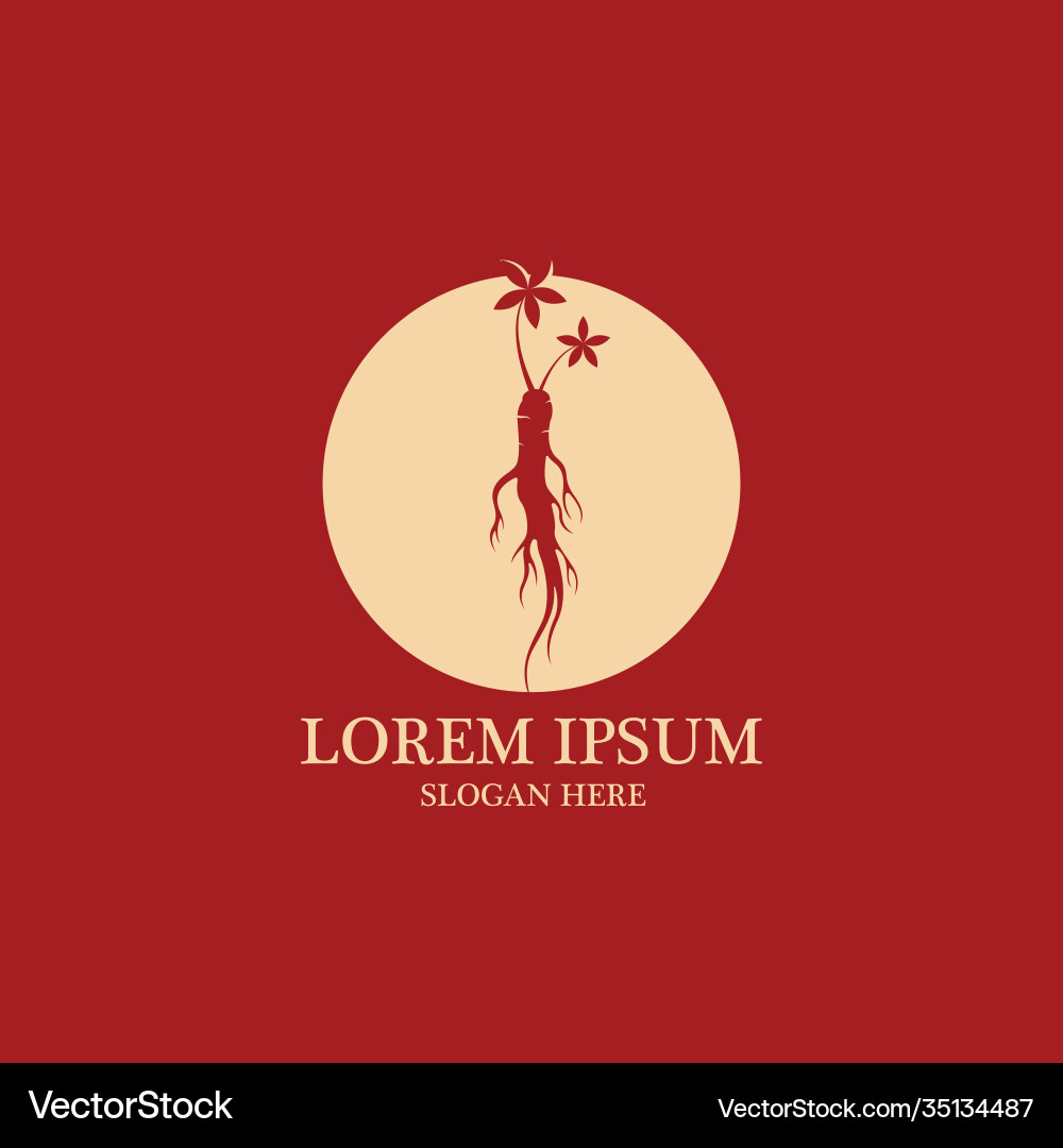 Ginseng icon design image vector image