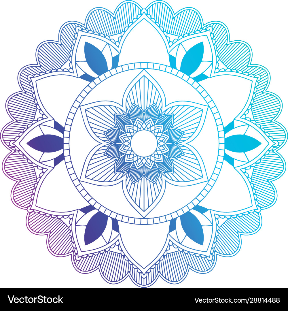 Mandala patterns on isolated background Vector Image