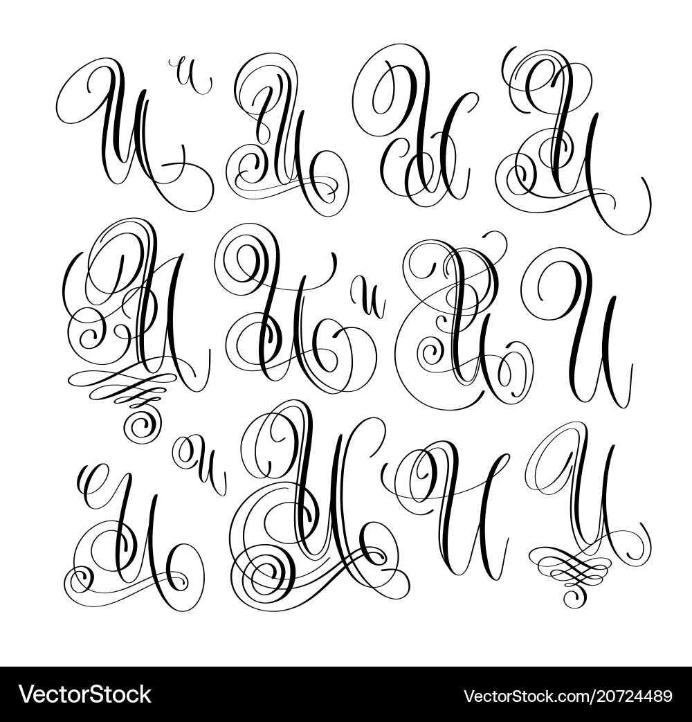 Calligraphy lettering script font u set hand vector image