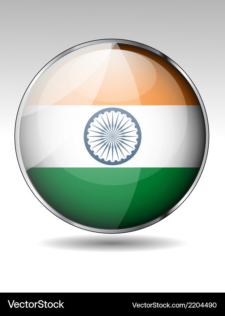 Flag button design elements vector image