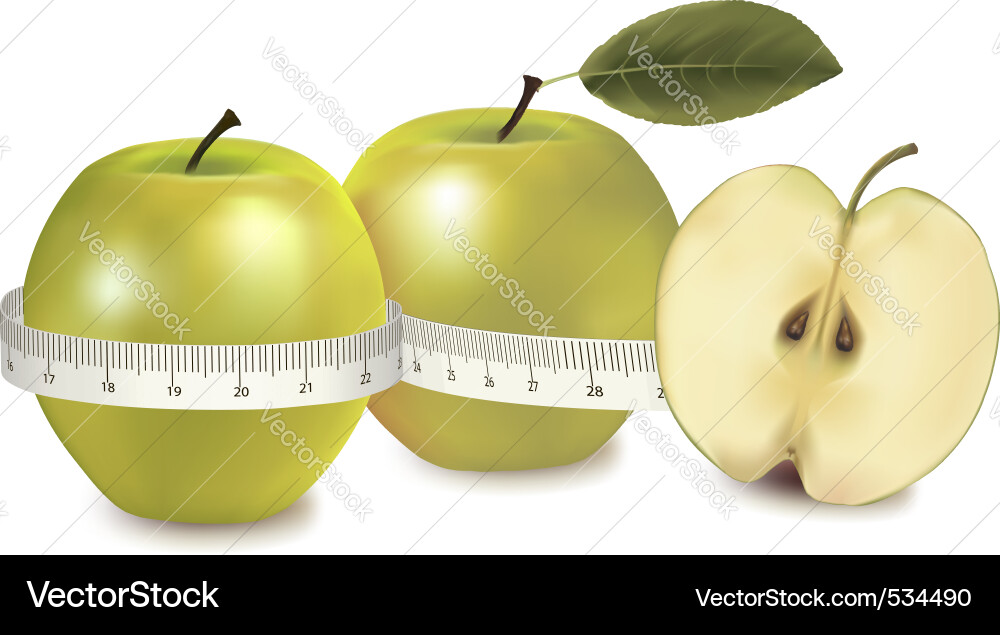 Measuring Green Apples with a Meter Vector Image