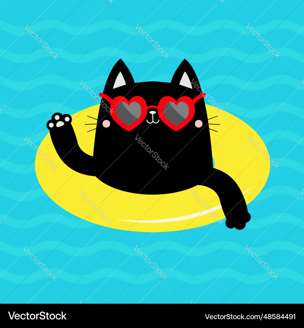 Black cat kitten floating on yellow pool float Black cat kitten floating on yellow pool float vector image