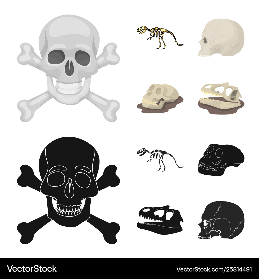 Isolated object skeleton and character symbol Vector Image