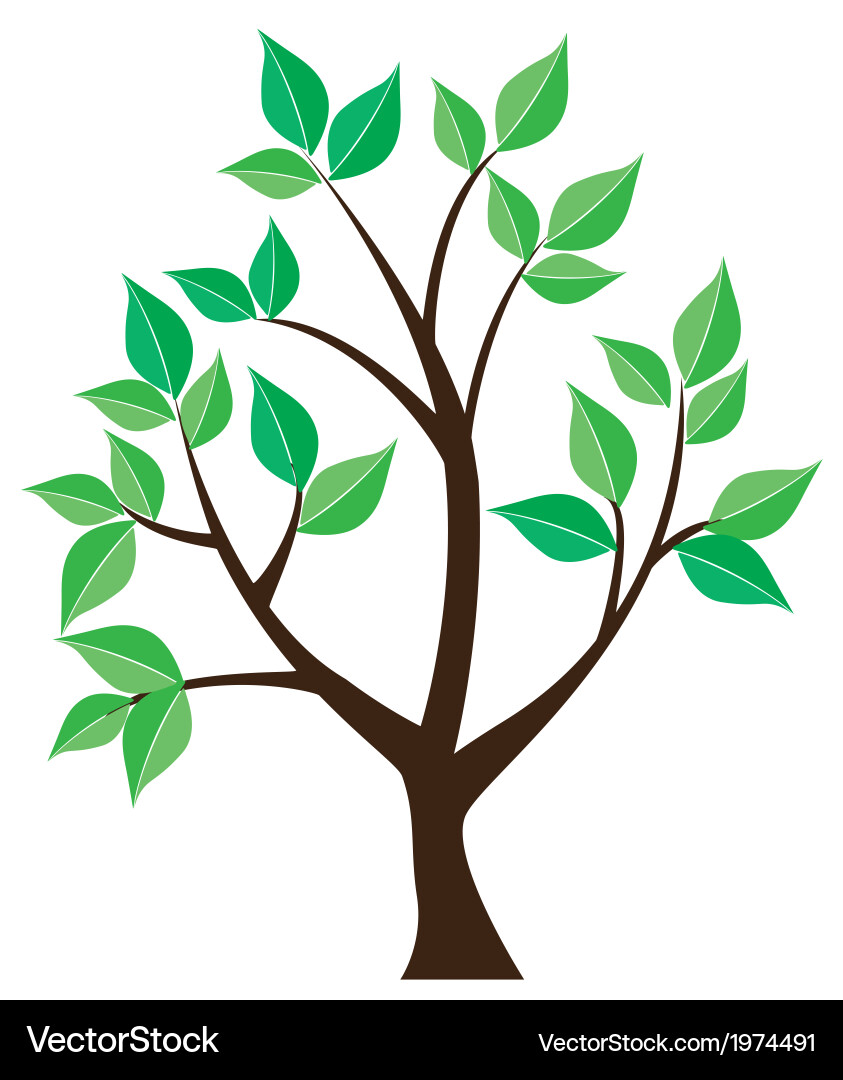 Tree Vector Image