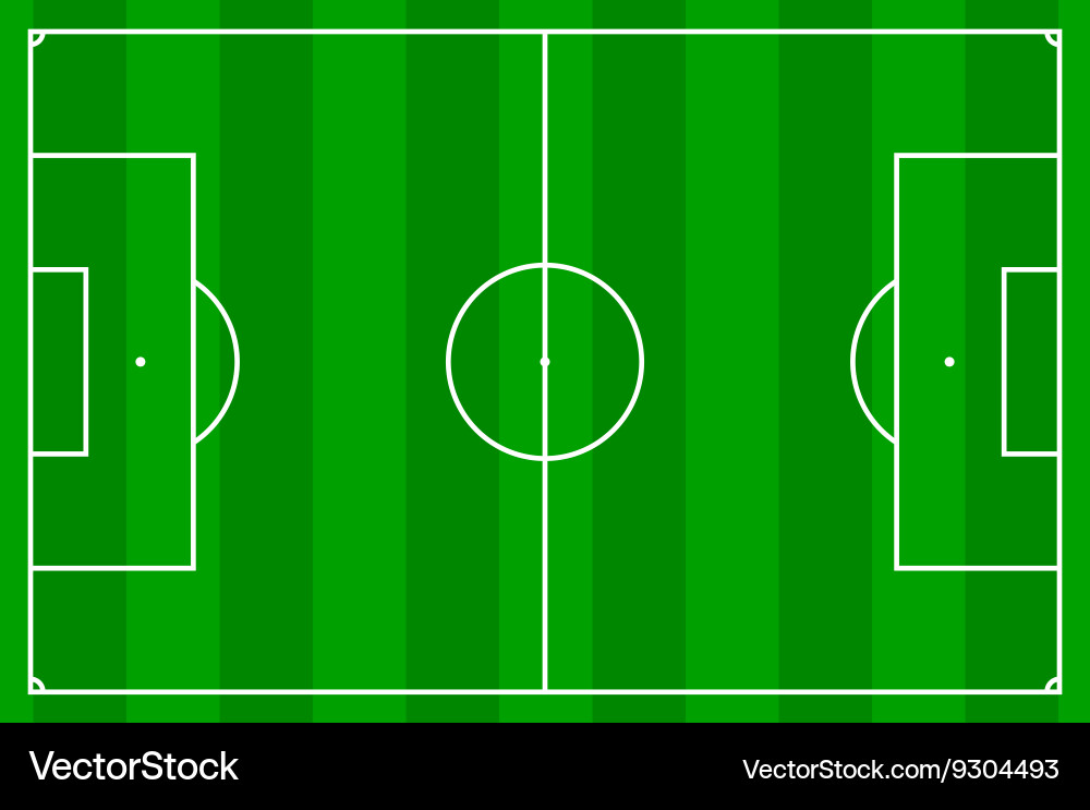 Soccer Field with Grass Texture Vector Image