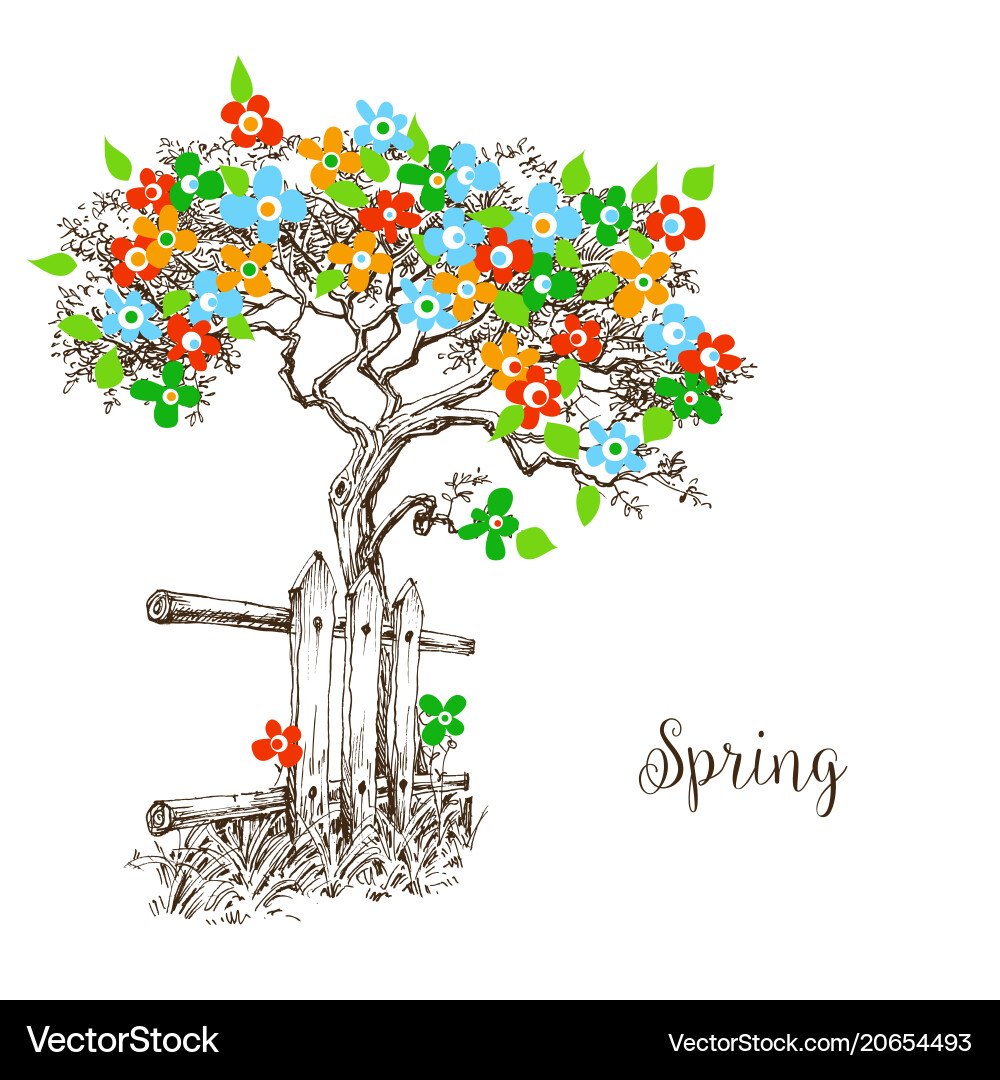 Spring Tree Bloom vector image