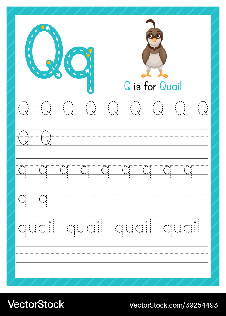 Trace letter q uppercase and lowercase alphabet Trace letter q uppercase and lowercase alphabet vector image