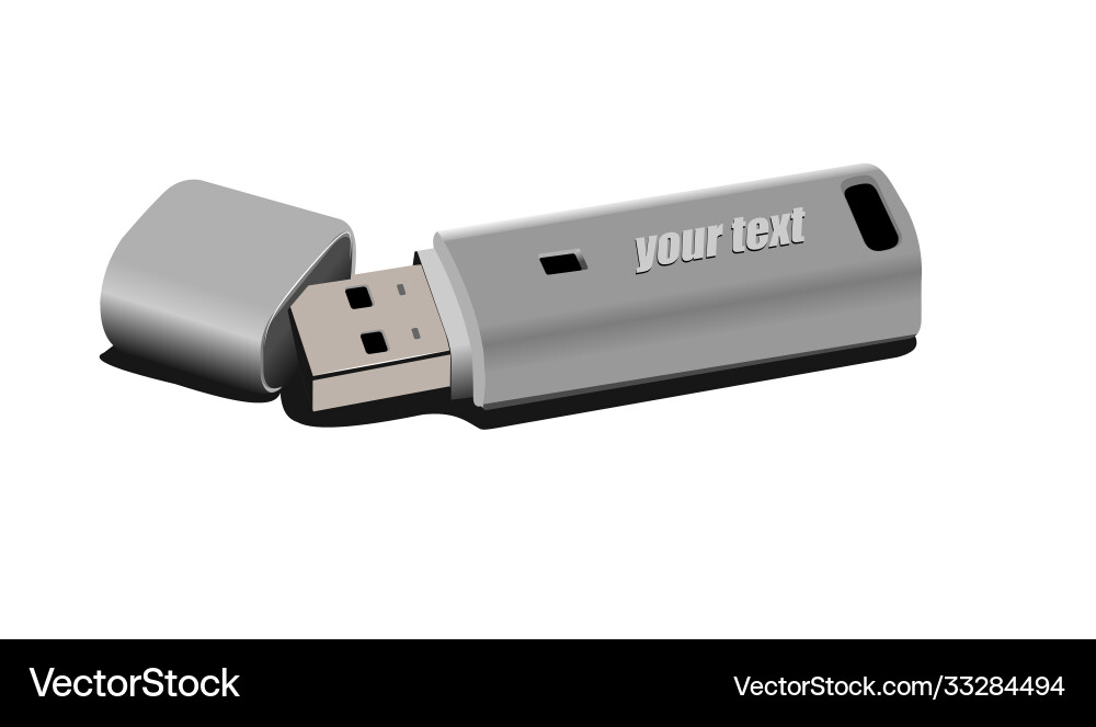 Usb key scan disk close up isolated on white 3d Vector Image