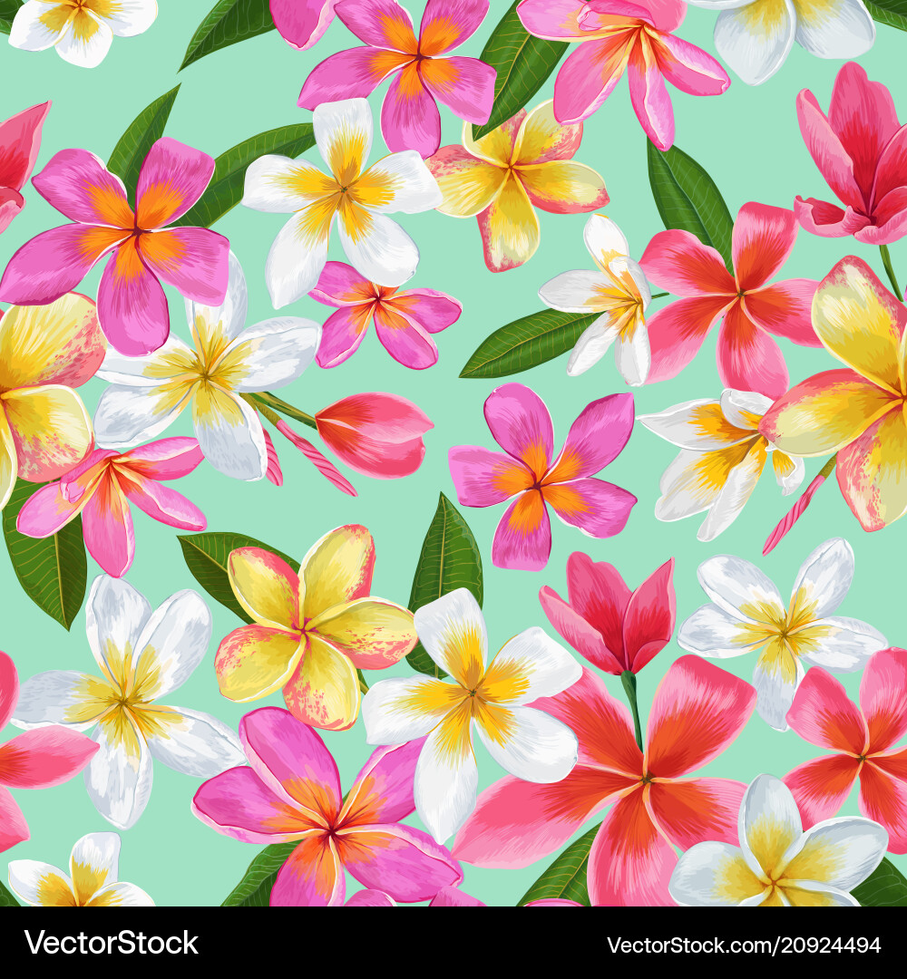 Watercolor Tropical Flowers Vector Image