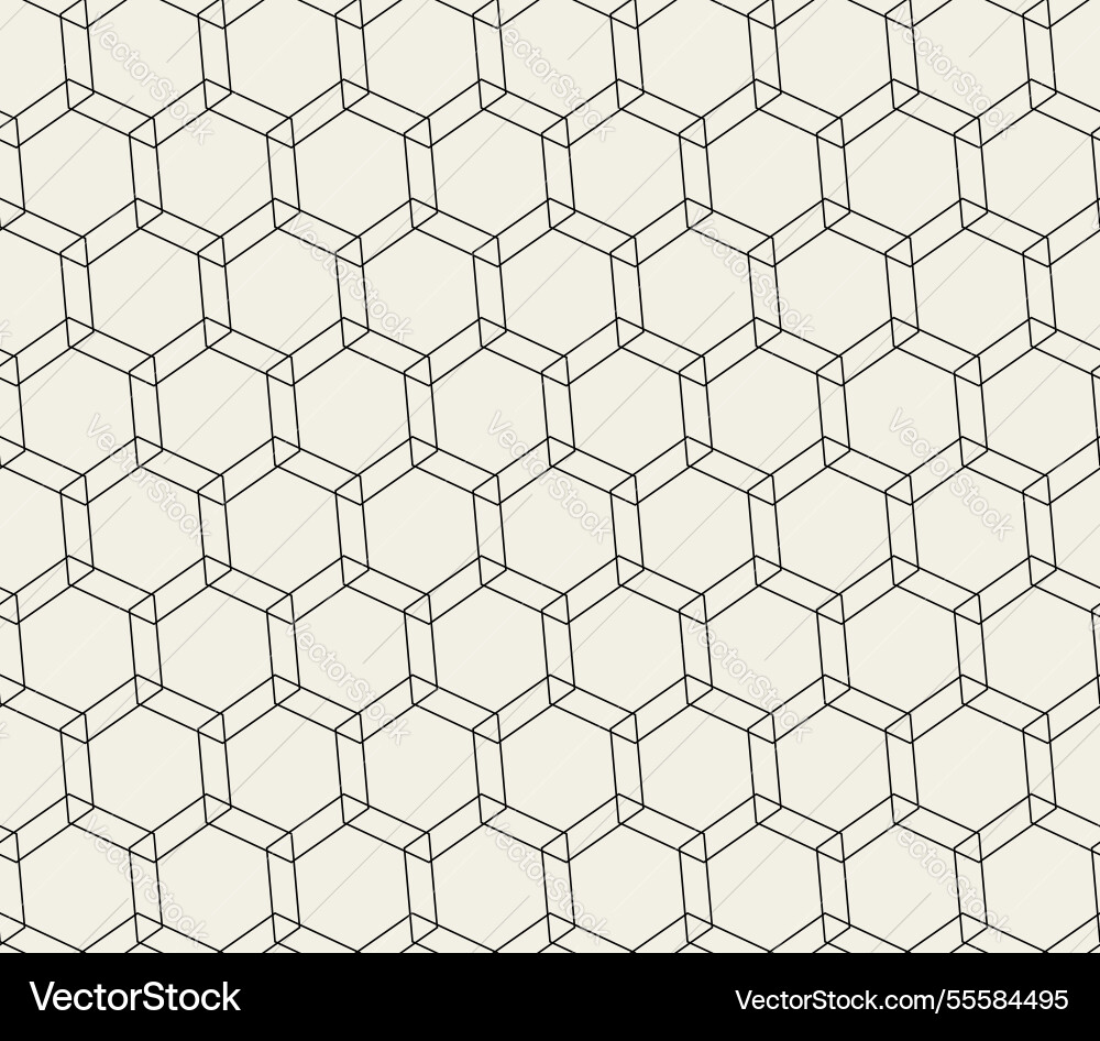Geometric hexagon pattern in black lines Geometric hexagon pattern in black lines vector image