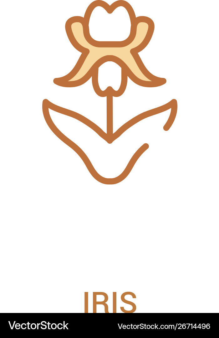 Iris concept 2 colored icon simple line element Vector Image