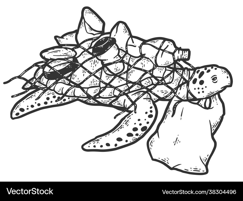 Turtle in net with plastic bottles concept Turtle in net with plastic bottles concept vector image