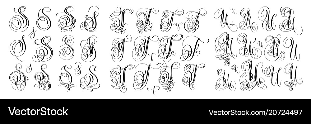 Calligraphic S, T, and U Letters vector image