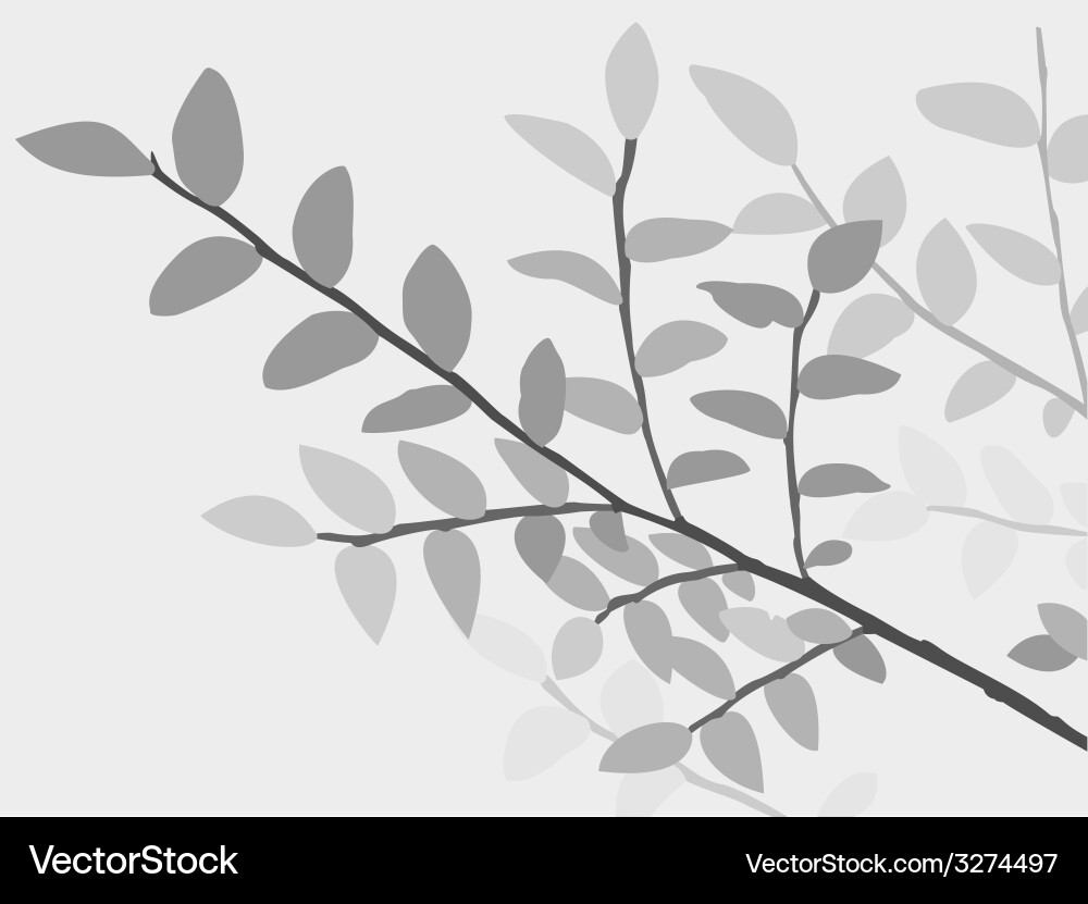 Trees background vector image