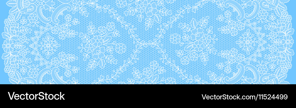 Blue Floral Lace Background Vector Image