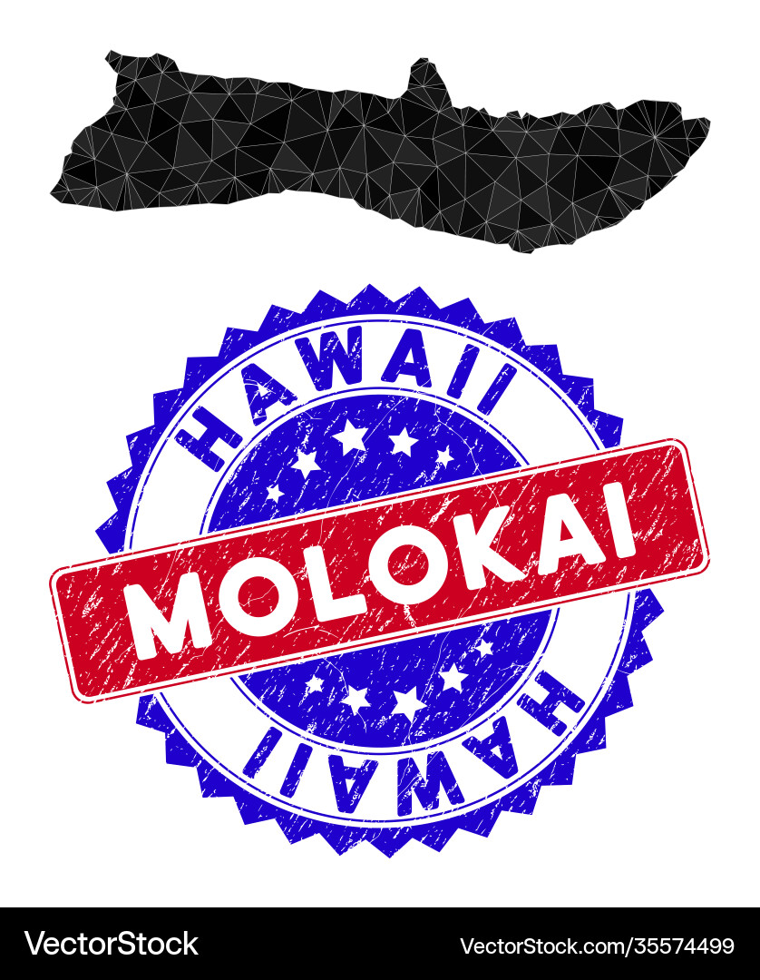 Molokai island map triangle mesh and scratched Molokai island map triangle mesh and scratched Vector Image