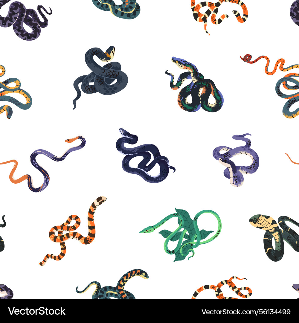 Repeatable pattern of different snakes endless Repeatable pattern of different snakes endless vector image