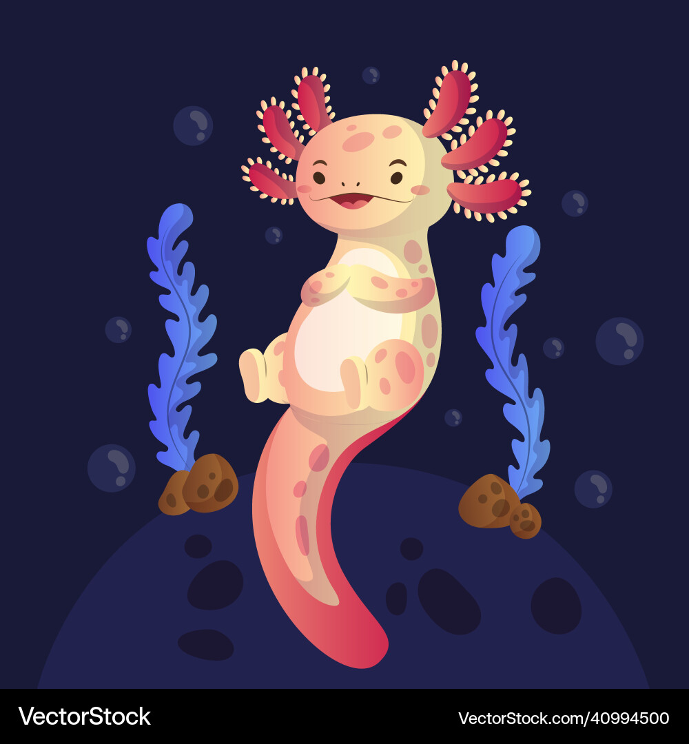 Gradient ajolote vector image