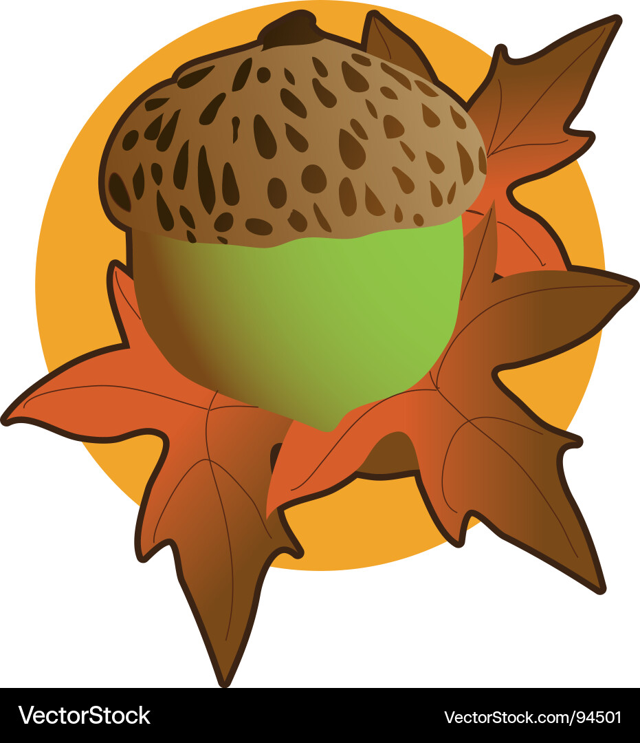 Autumn Acorn with Falling Leaves Vector Image
