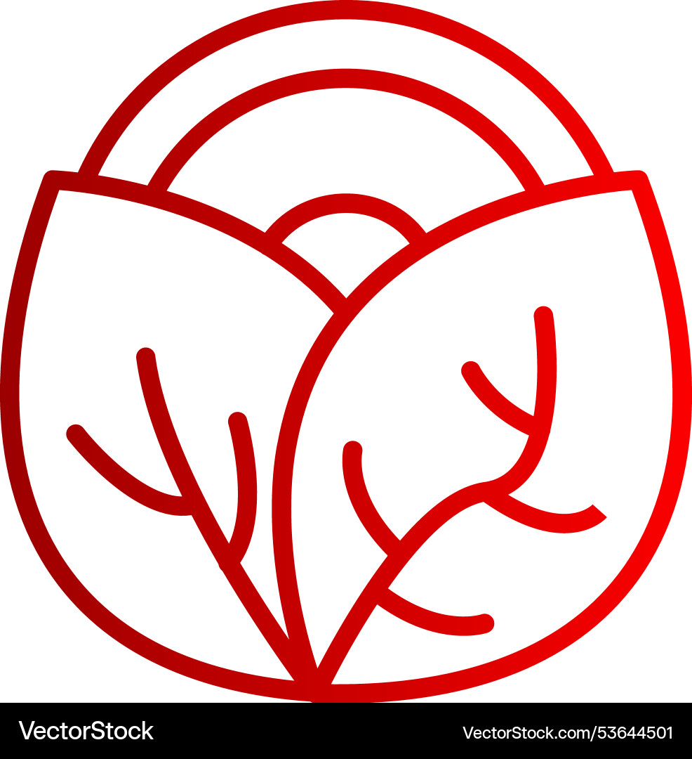 Cabbage line gradient icon Vector Image