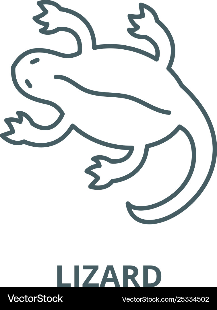 Lizard line icon linear concept outline Lizard line icon linear concept outline vector image