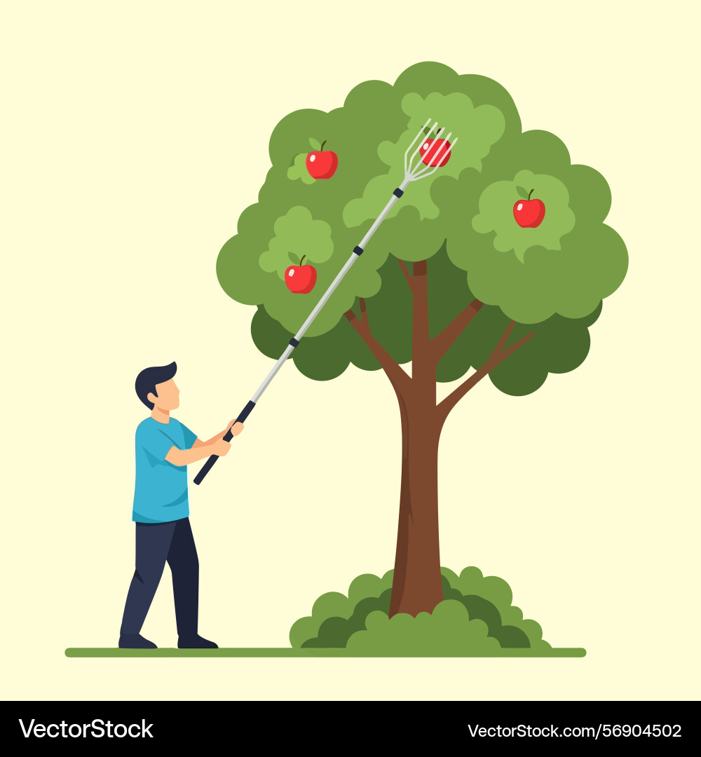 Man picking red apples from tree with fruit Vector Image