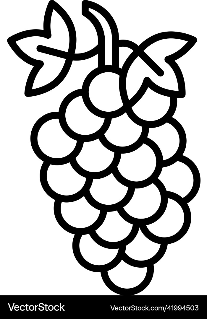 Grape icon holy week related Vector Image