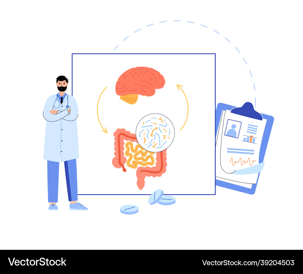 Gut-Brain Axis Connection vector image