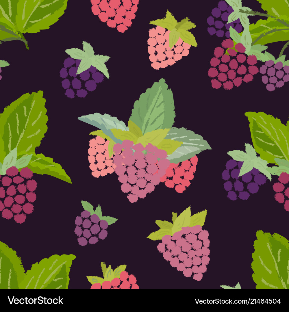 Seamless pattern of raspberry Vector Image