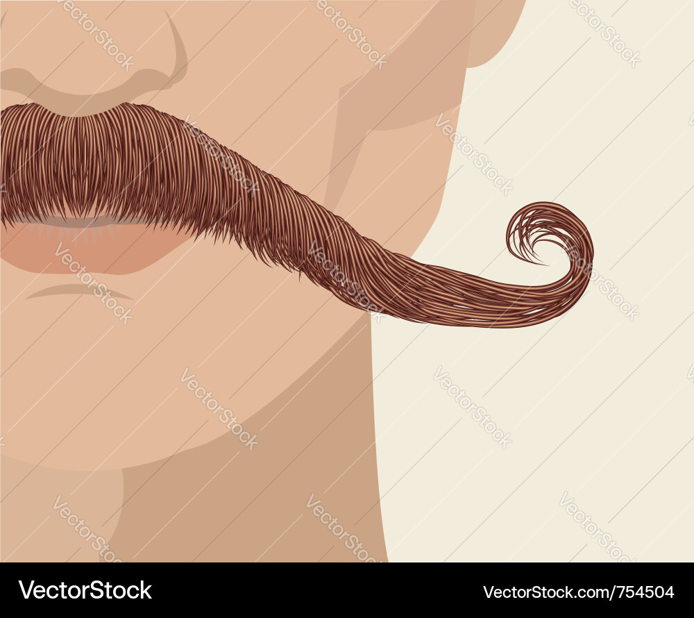 Smiling Man with Mustache Vector Image