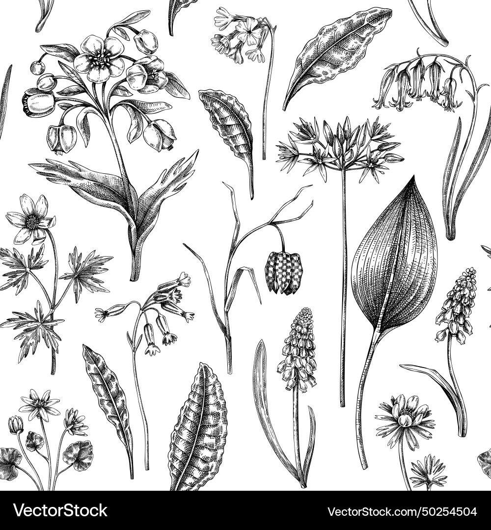 Spring Wildflower Pattern vector image