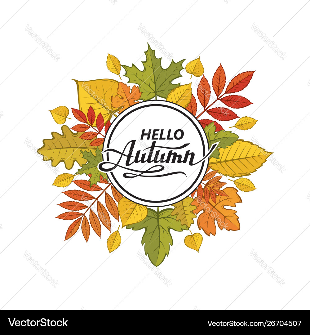Hello autumn pattern vector image