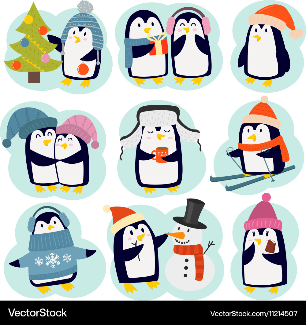 Penguin set characters vector image