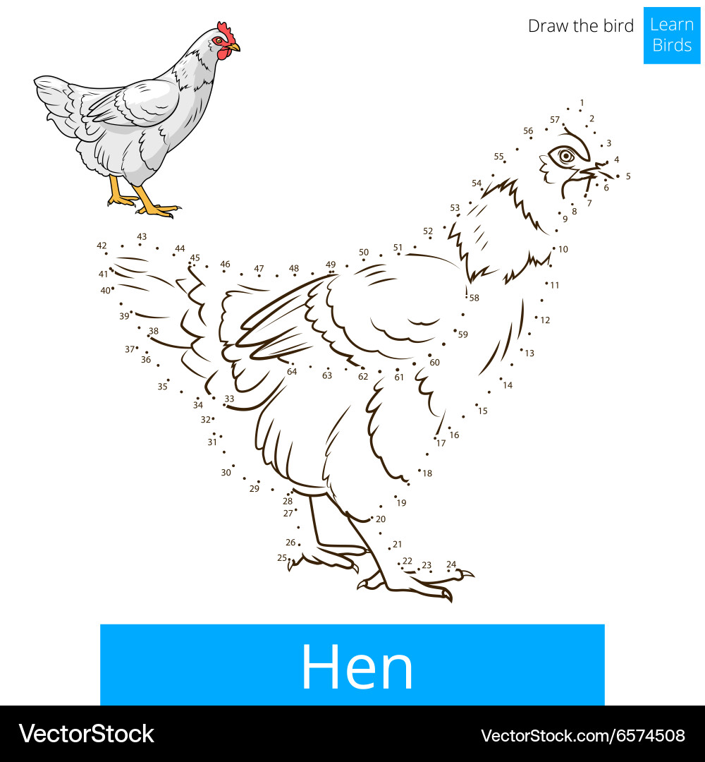 Hen bird learn to draw Vector Image