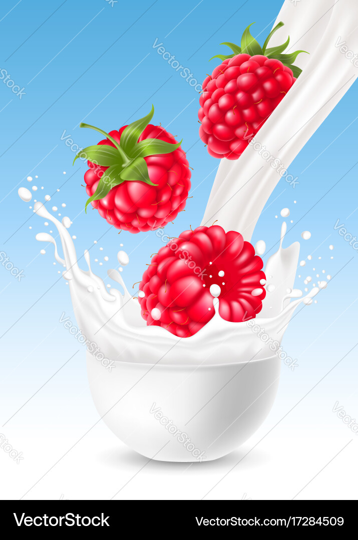 Milk splash with raspberry vector image