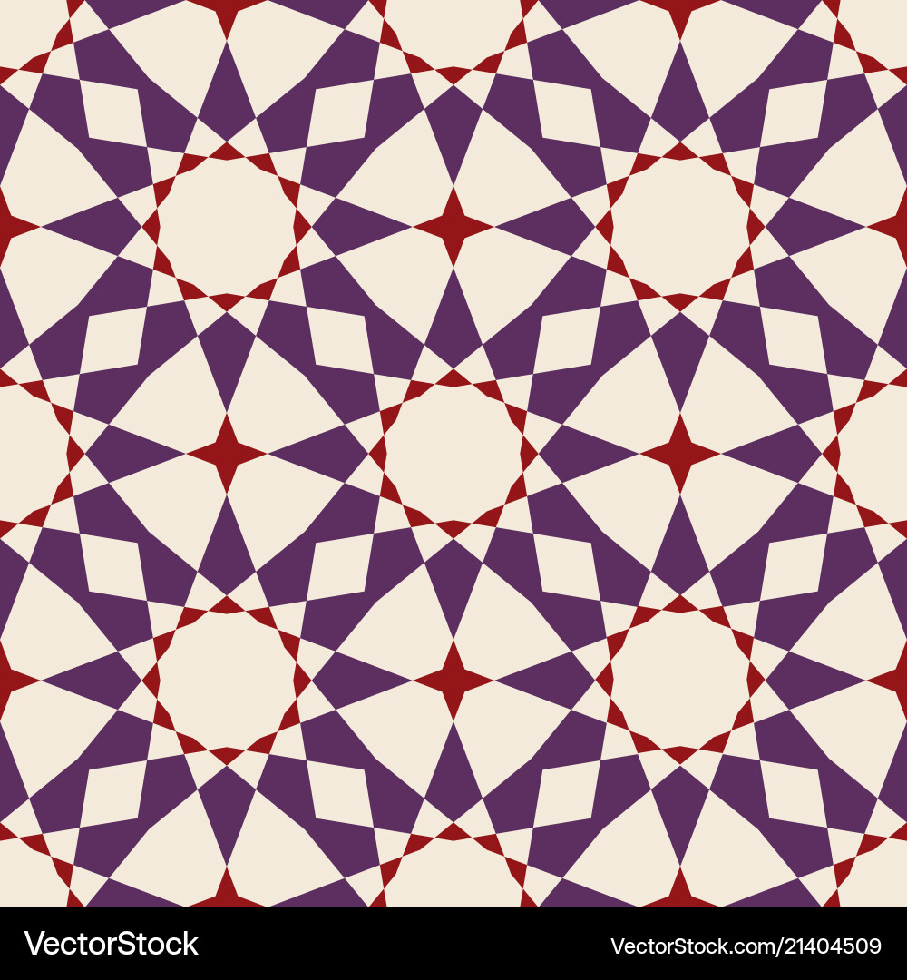 Star Geometric Pattern vector image