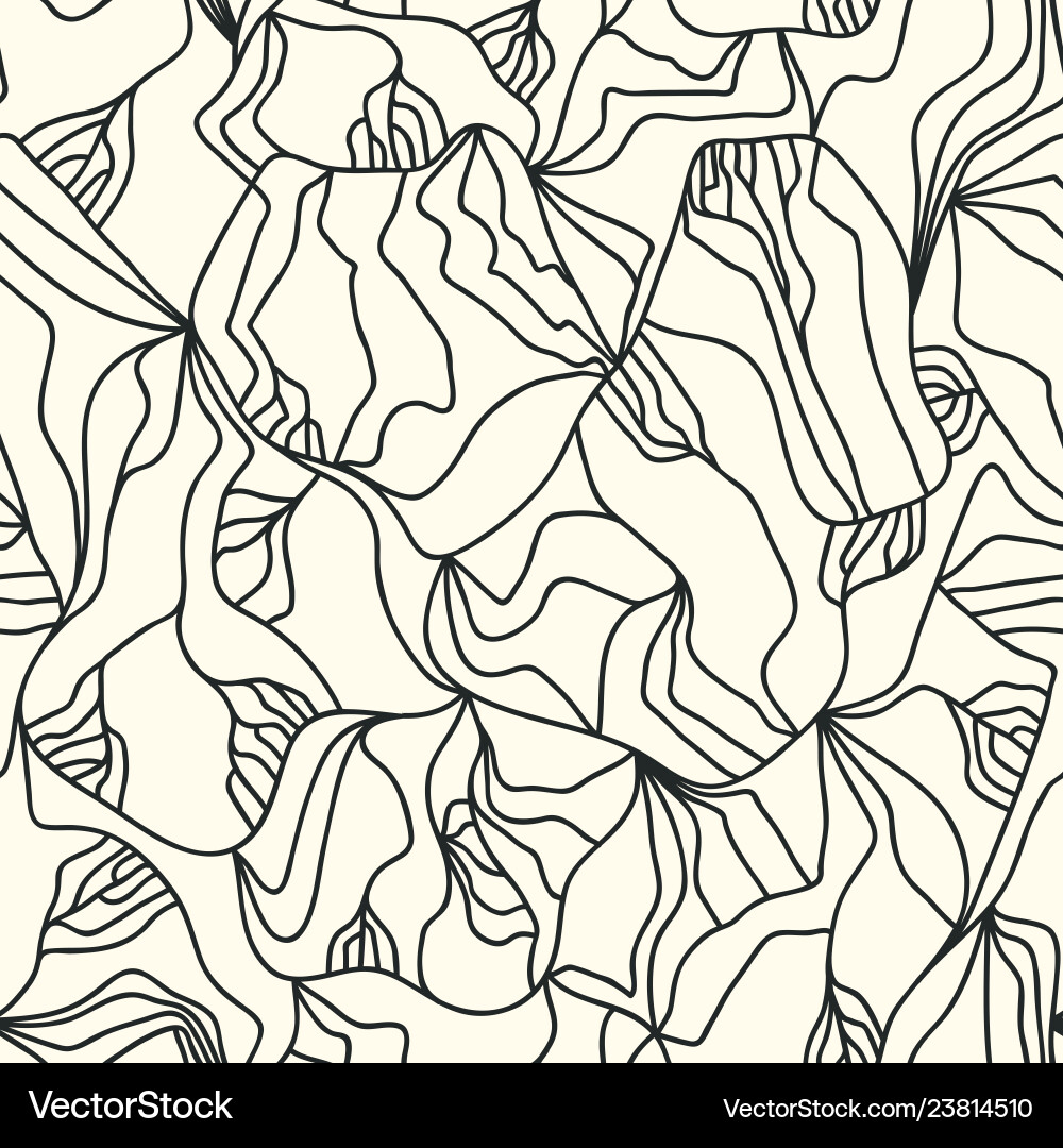 Complex Line Pattern vector image