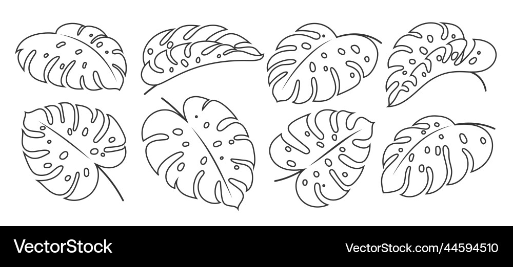 14-0x11-75-monstera-leaf-acrylic-router-template-crafted-elements