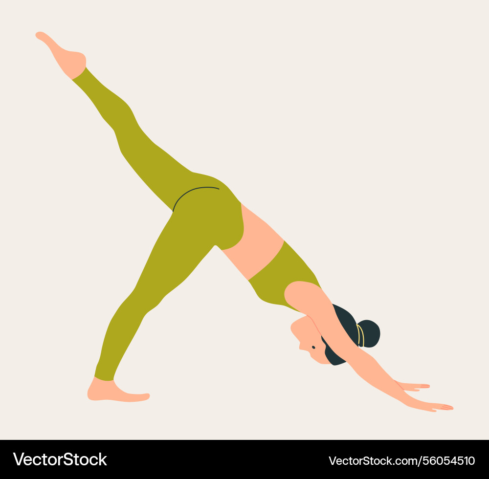 Woman wearing sportswear doing yoga slim girl Woman wearing sportswear doing yoga slim girl vector image