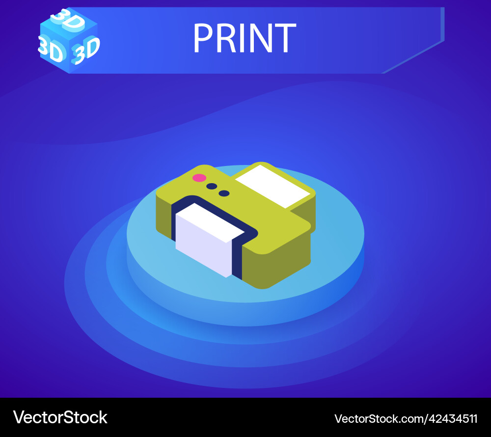 Print isometric design icon web 3d colorful Print isometric design icon web 3d colorful vector image