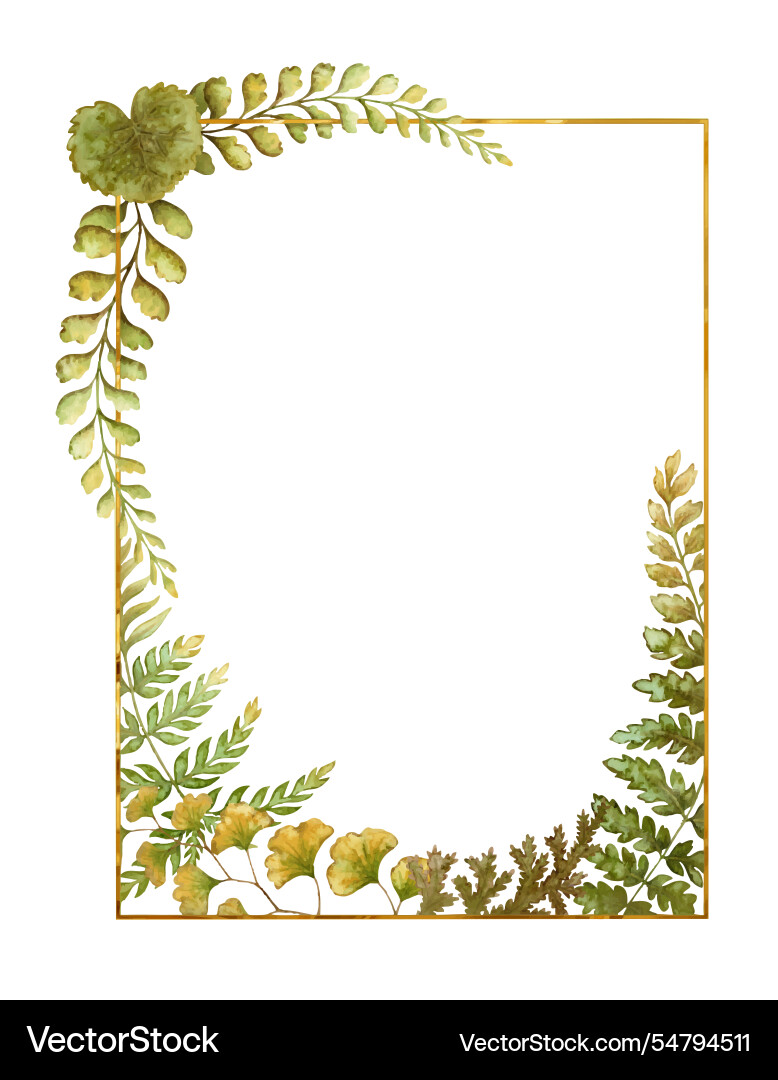 Rectangular frame with fern leaves botanical card vector image