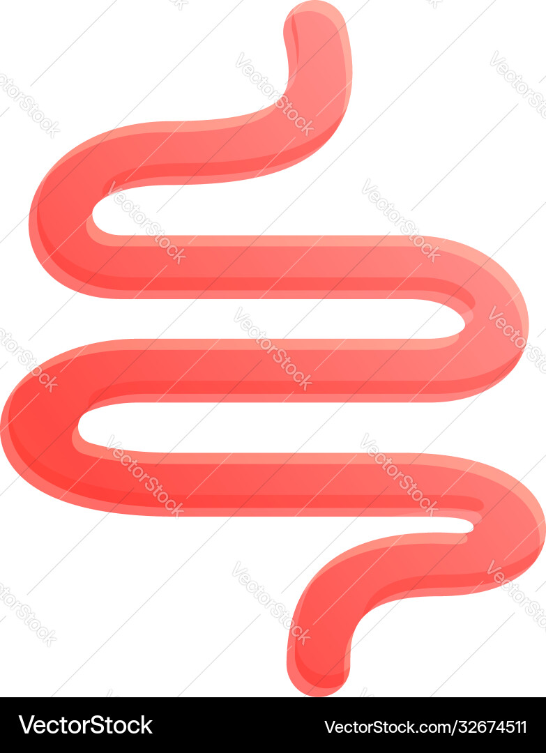 Small intestine icon cartoon style Small intestine icon cartoon style vector image