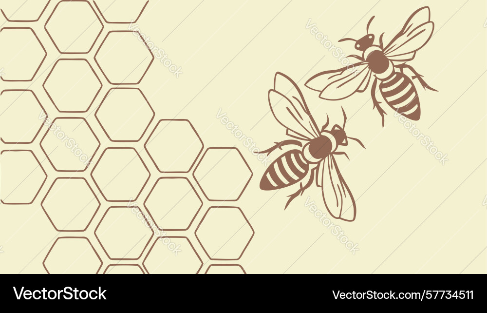 Two bees on honeycomb pattern background design Vector Image
